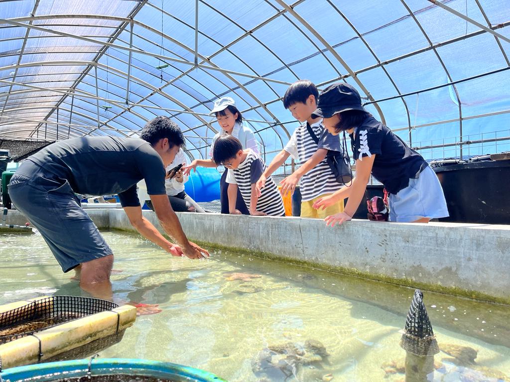 海企画 やんばるタッチプール＆飼育体験 - OSC株式会社